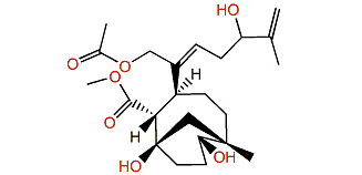 Umbellacin B